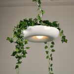 Lumière suspendu, avec abat-jour donuts blanc, dans lequel il y a une plante verte tombante. Au fond un mur blanc.