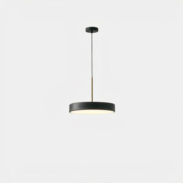 LED-Pendelleuchte Wohnzimmer Nordic Scheibenform
