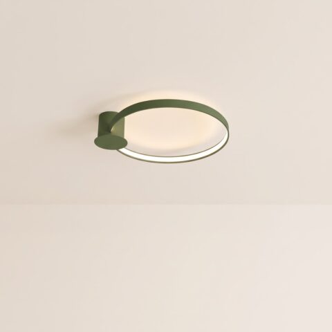 LED-Ring-Deckenleuchte Grün, 3 Größen
